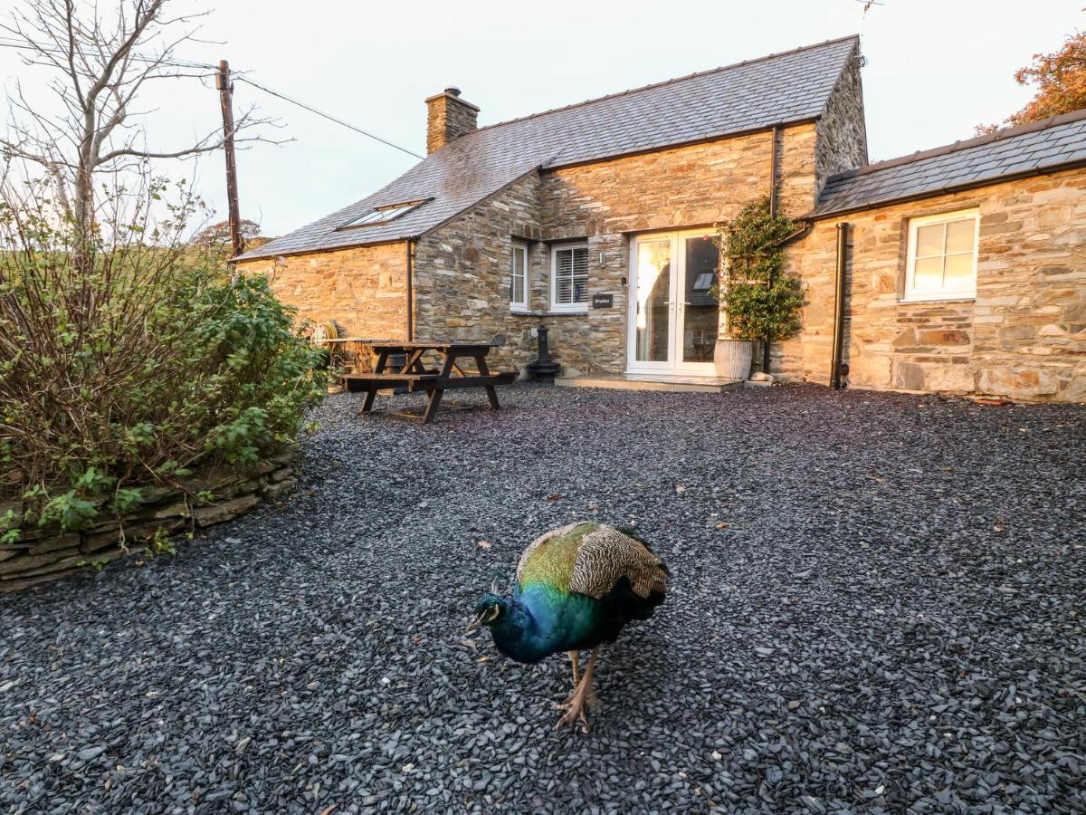 Garth Morthin The Stables Villa Tremadog Exteriör bild