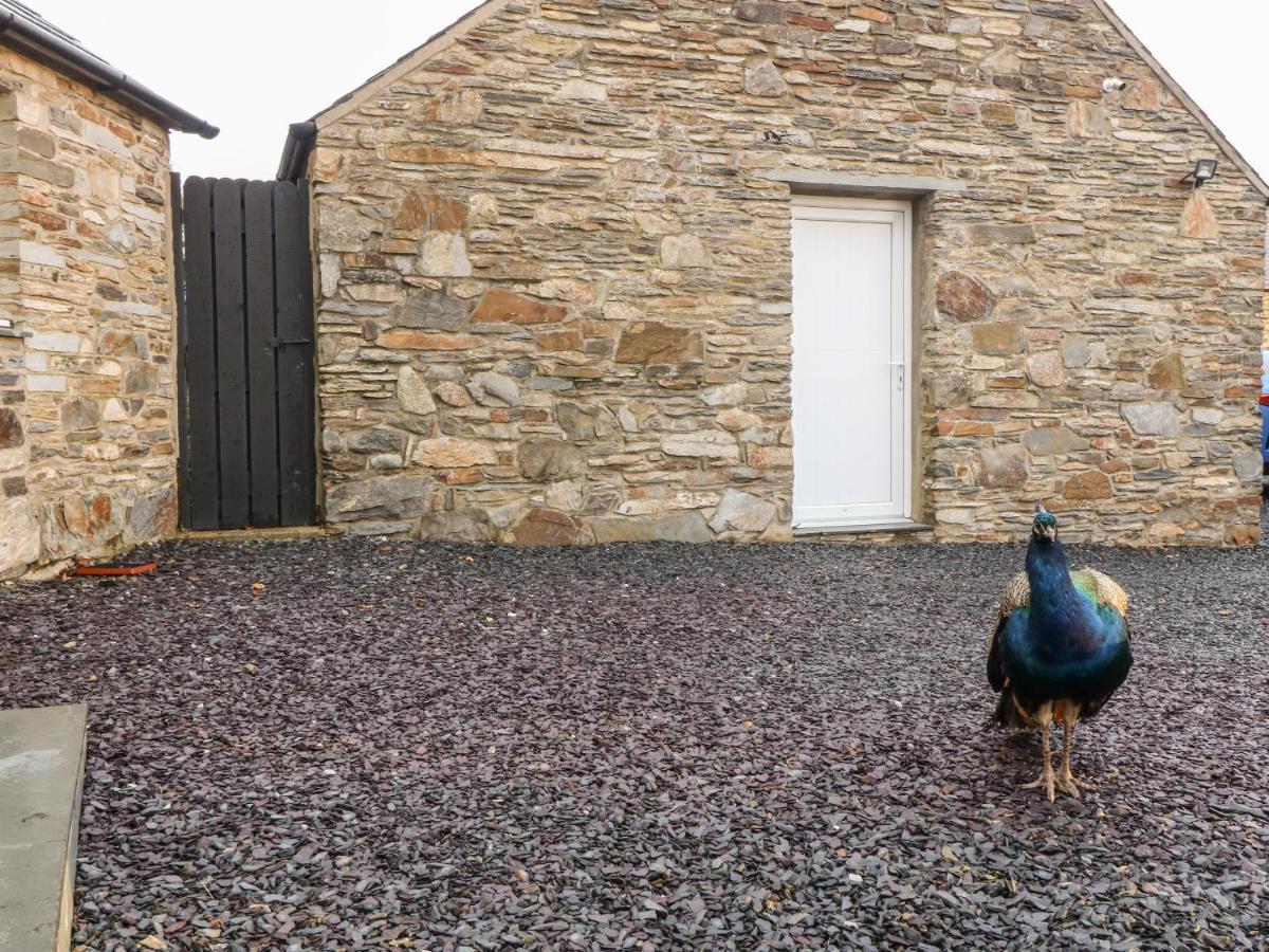 Garth Morthin The Stables Villa Tremadog Exteriör bild